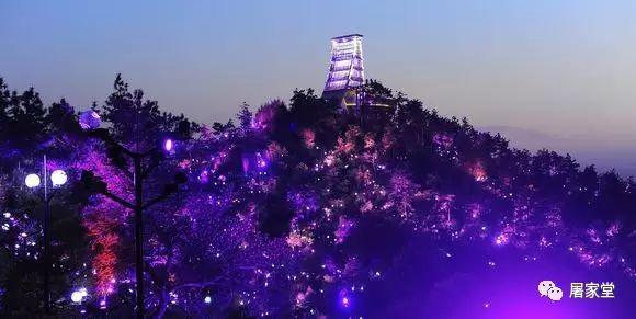 安吉凤凰山公园门票_安吉凤凰山森林公园_凤凰山安吉