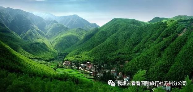 安吉凤凰山森林公园怎么样_凤凰山安吉_安吉凤凰山森林公园