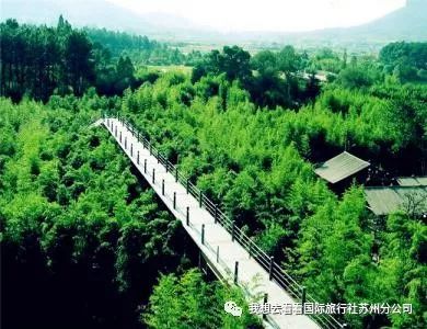 安吉凤凰山森林公园_安吉凤凰山森林公园怎么样_凤凰山安吉