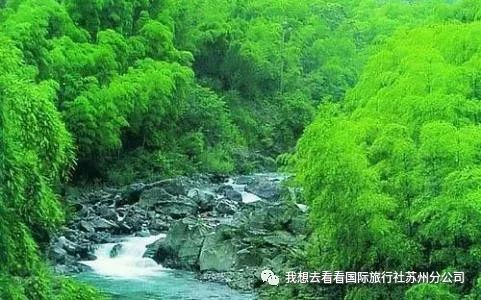 凤凰山安吉_安吉凤凰山森林公园_安吉凤凰山森林公园怎么样