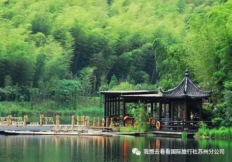 安吉凤凰山森林公园怎么样_凤凰山安吉_安吉凤凰山森林公园