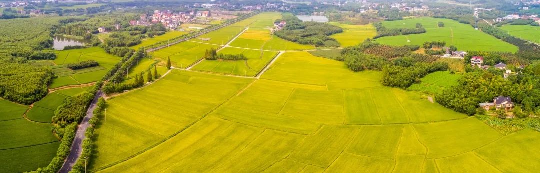 房地产城市管理办法_房地产城市管理法40条_城市房地产管理法 第三十九条