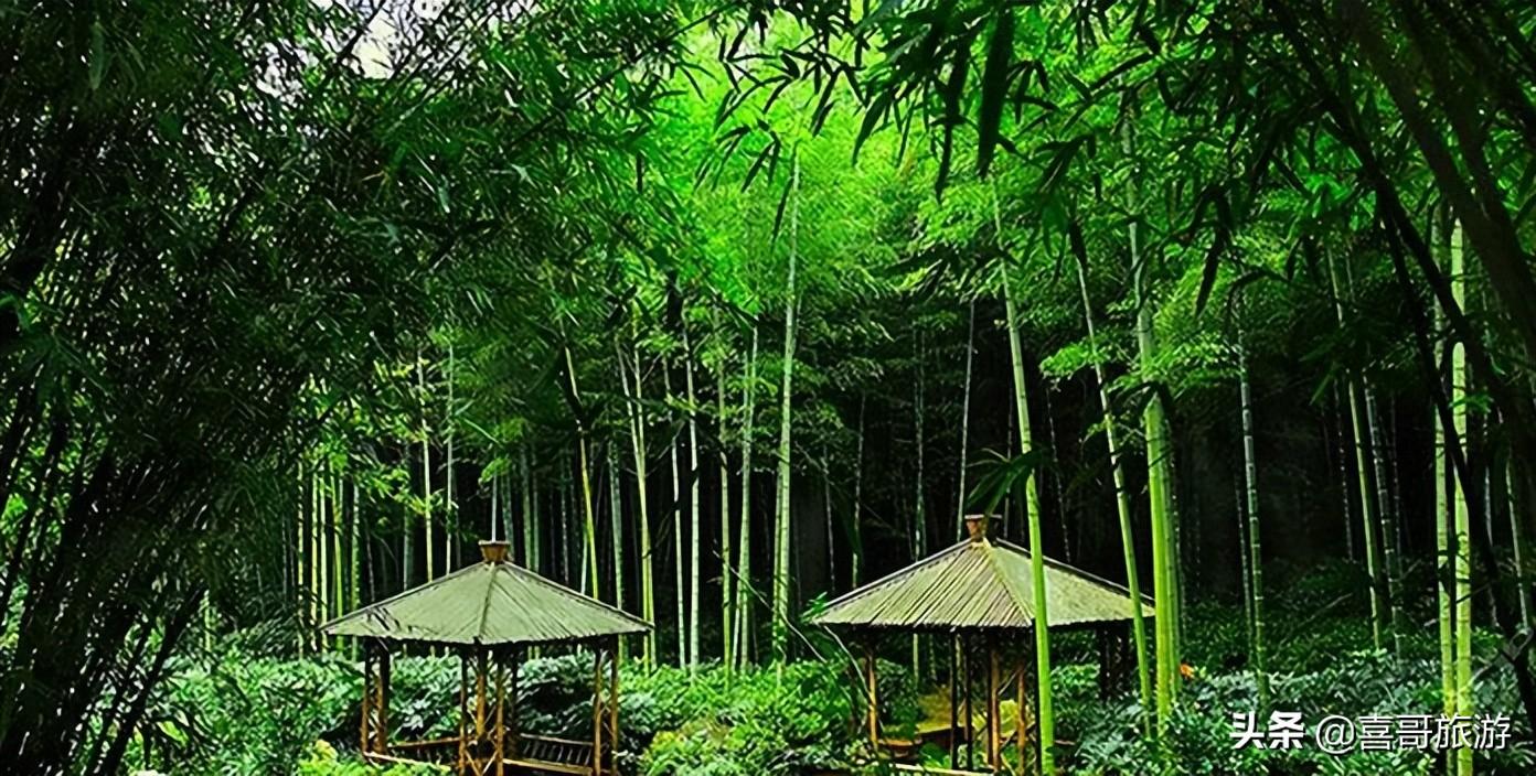 安吉灵峰旅游度假区_安吉灵峰街道_安吉灵峰