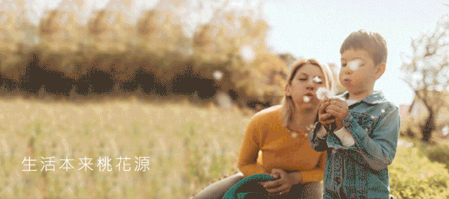 湖州安吉桃花源别墅二手房_安吉桃花源别墅户型图_安吉桃花源别墅二手房