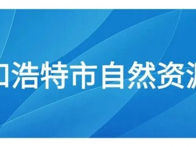 自治区自然资源厅厅长隋维钧一行深入新城区成吉思汗街道遗留项目转移登记（分户）受理点调研指导