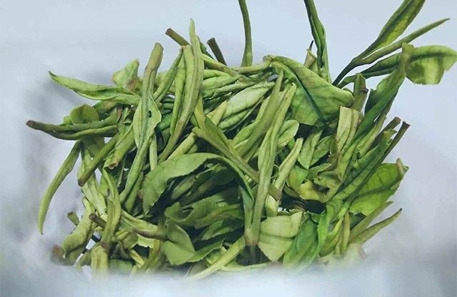 绿茶安吉白茶_安吉白茶和绿茶有什么区别_安吉白茶是绿茶