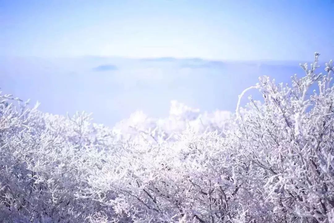 安吉龙王山民宿什么价_安吉龙王山山顶自驾线路_安吉龙王山 住宿