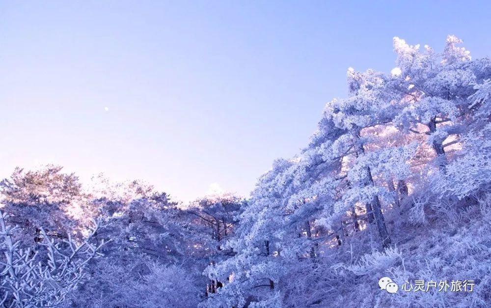 安吉龙王山山顶自驾线路_安吉龙王山 住宿_安吉龙王山民宿什么价