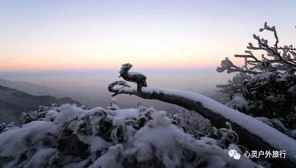 安吉龙王山 住宿_安吉龙王山民宿什么价_安吉龙王山山顶自驾线路