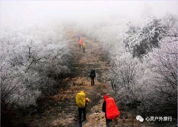安吉龙王山民宿什么价_安吉龙王山山顶自驾线路_安吉龙王山 住宿