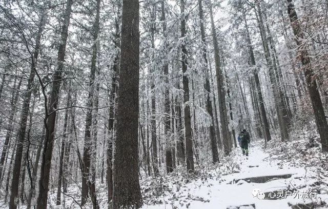 安吉龙王山民宿什么价_安吉龙王山 住宿_安吉龙王山山顶自驾线路