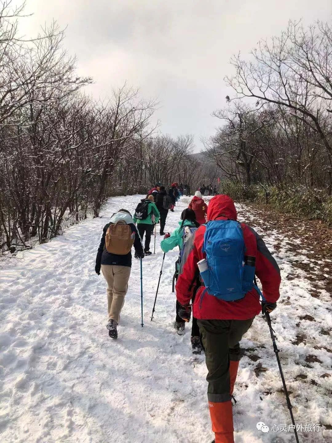 安吉龙王山 住宿_安吉龙王山山顶自驾线路_安吉龙王山民宿什么价
