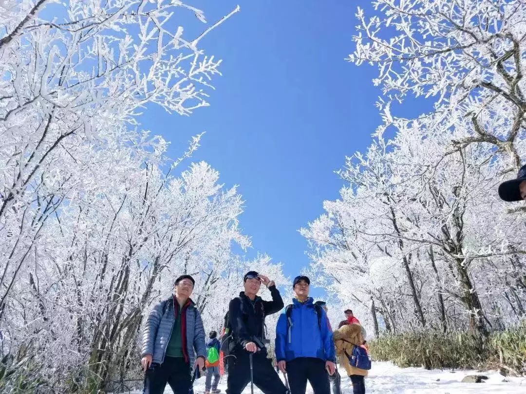 安吉龙王山山顶自驾线路_安吉龙王山民宿什么价_安吉龙王山 住宿
