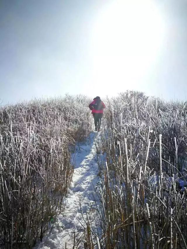 安吉龙王山 住宿_安吉龙王山山顶自驾线路_安吉龙王山民宿什么价