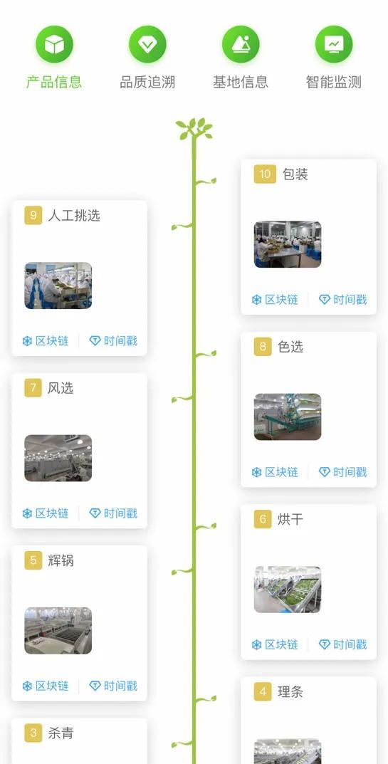 2020年浙江安吉采茶工招聘_安吉吧采茶工协议_安吉采茶工人最新消息