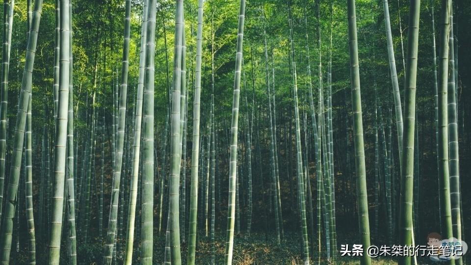 安吉藏龙百瀑景区图片_安吉藏龙百瀑景区_安吉藏龙百瀑旅游攻略