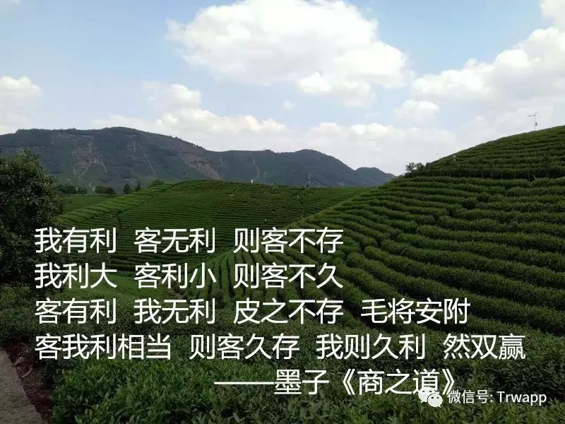 源自安吉白茶多少钱一斤_安吉白茶来源_源自安吉白茶五盒装