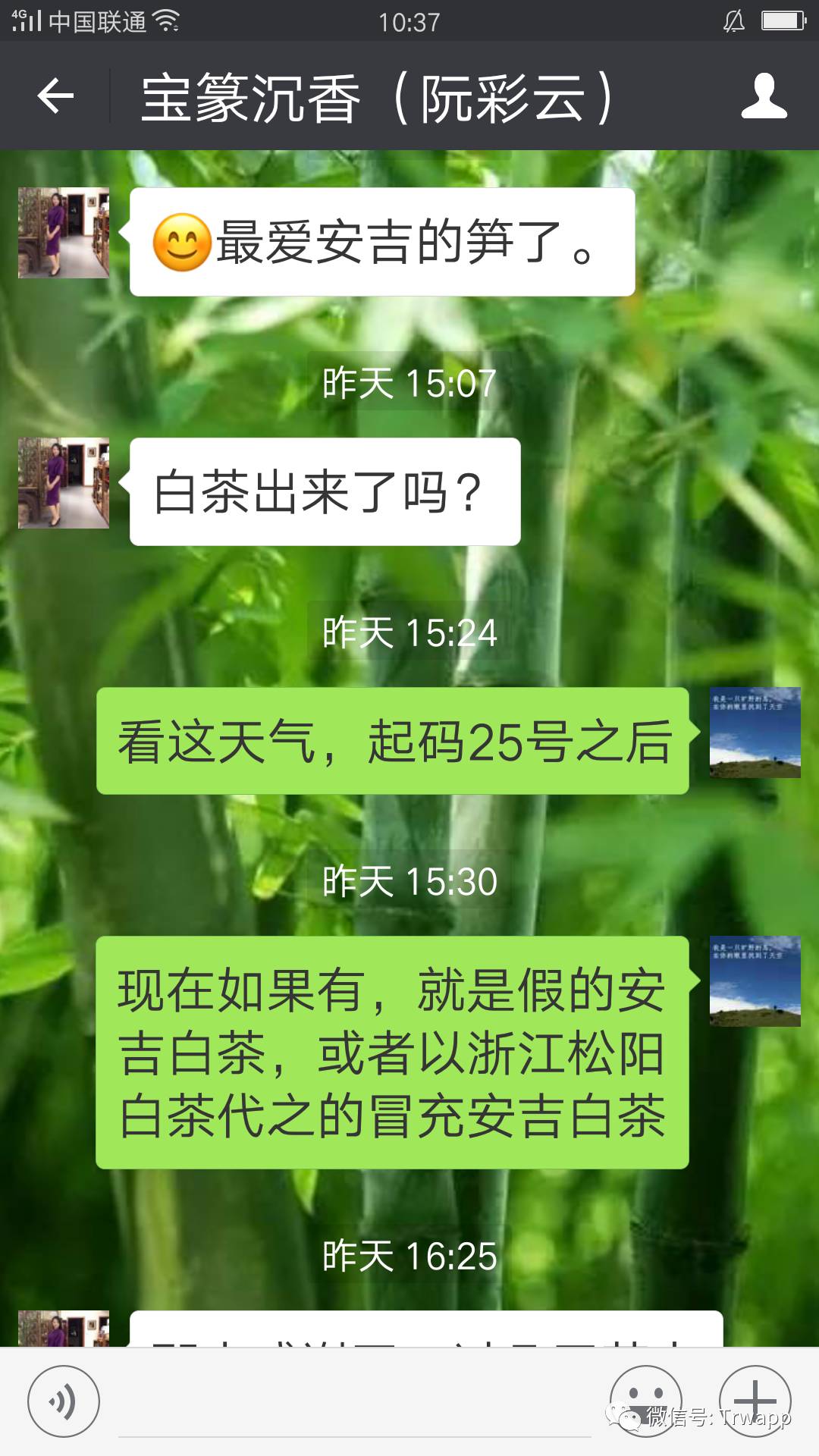 源自安吉白茶五盒装_源自安吉白茶多少钱一斤_安吉白茶来源