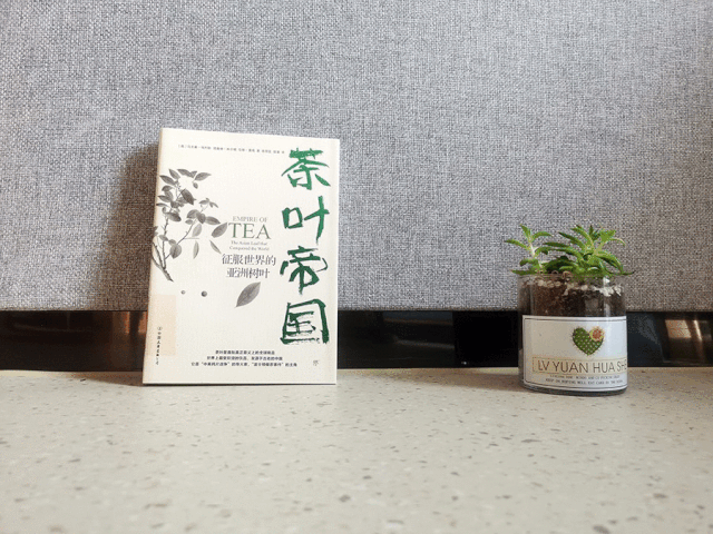 安吉白茶来源_源自安吉白茶多少钱一斤_安吉源白茶价格