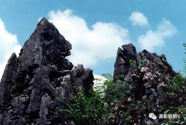 福建永安吉山村介绍_参观永安吉山抗战文化遗址_永安吉山村旅游