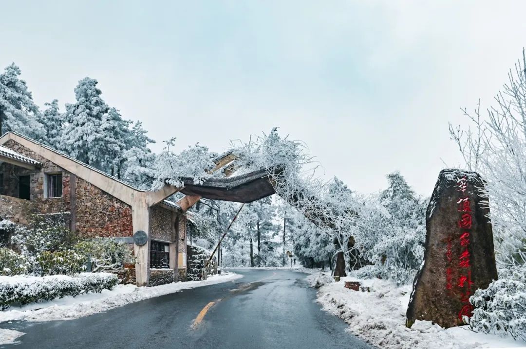 安吉龙王山山顶自驾线路_龙王山 安吉_安吉龙王山地图