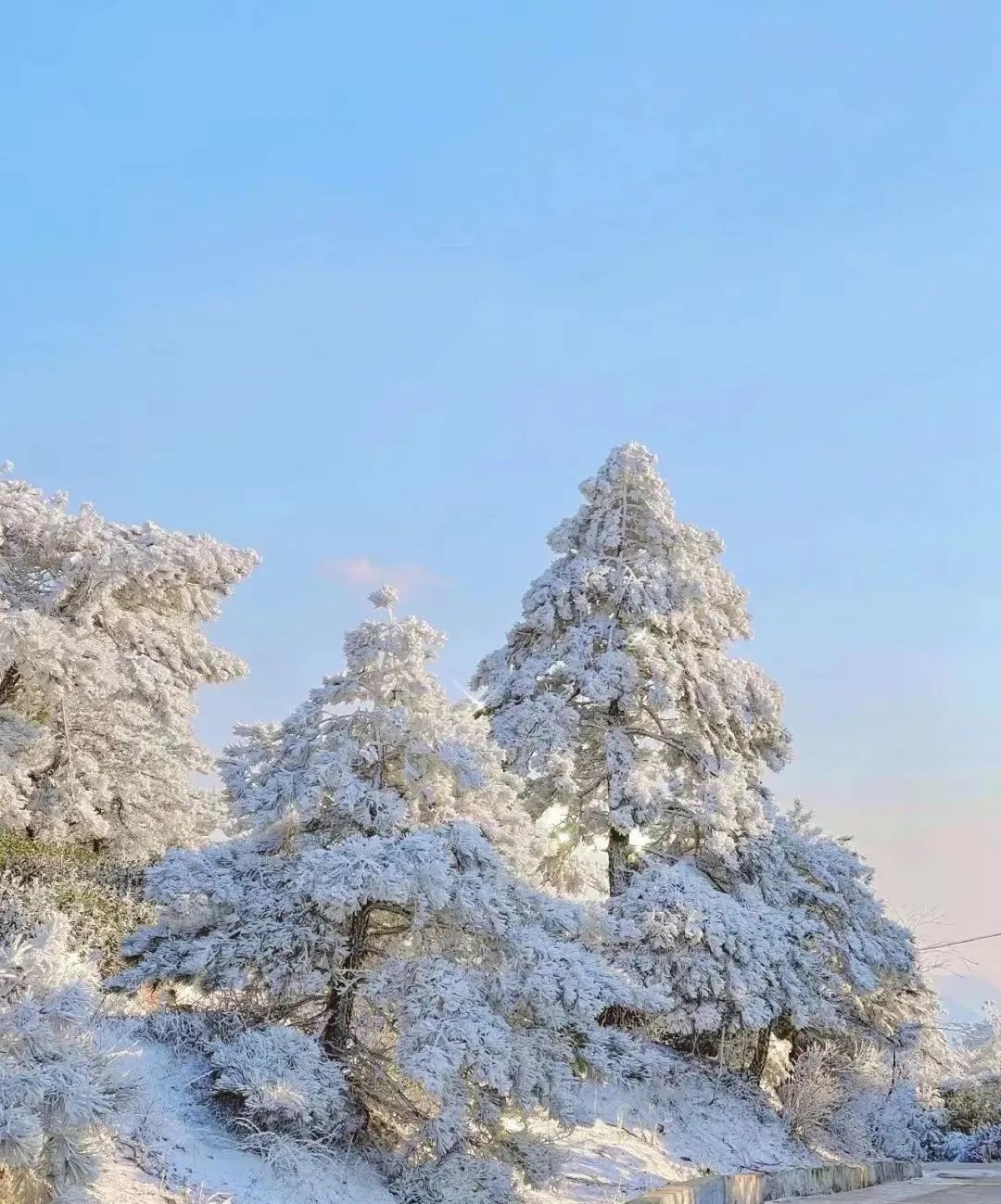 龙王山 安吉_安吉龙王山山顶自驾线路_安吉龙王山地图