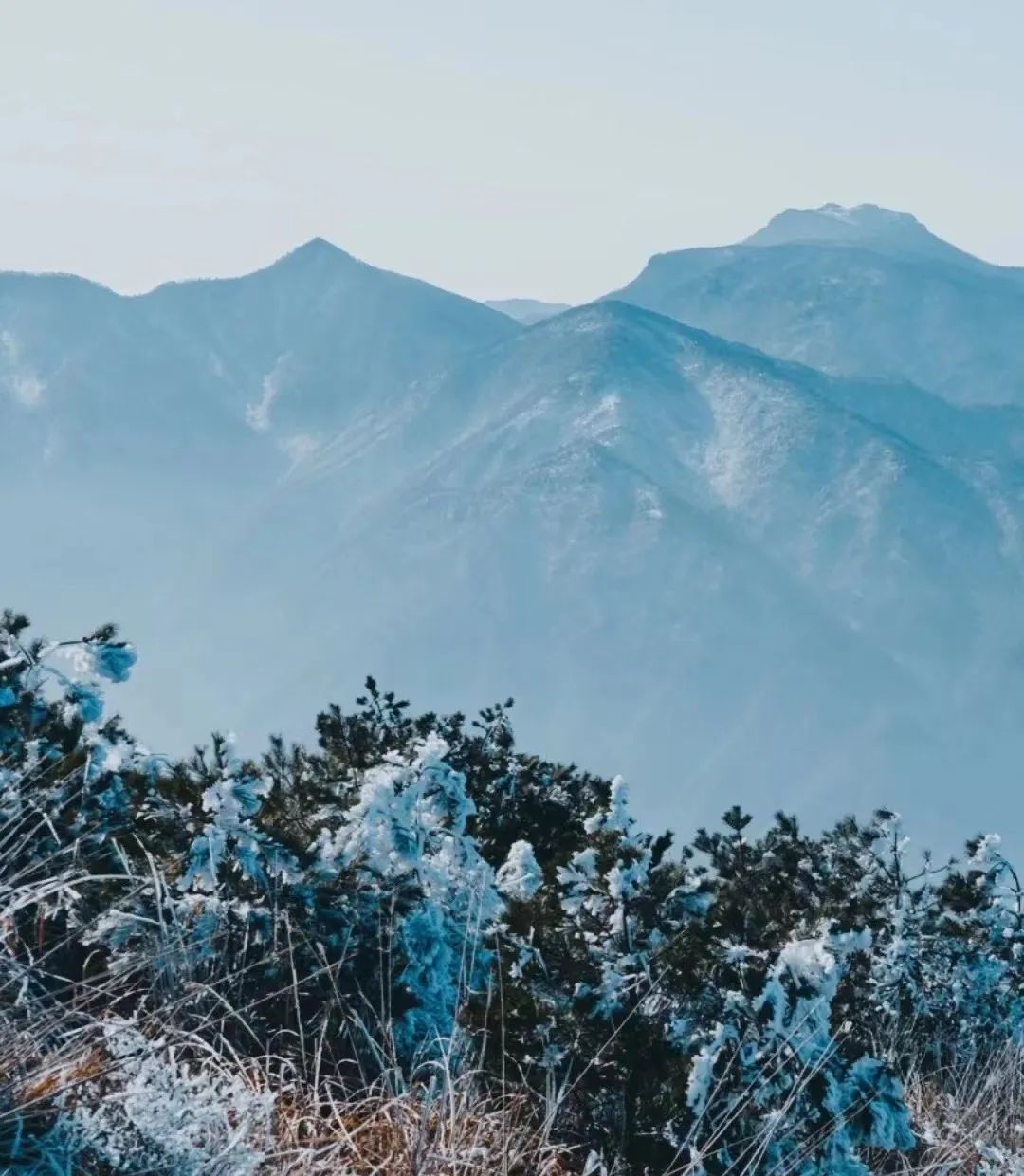 安吉龙王山地图_龙王山 安吉_安吉龙王山山顶自驾线路