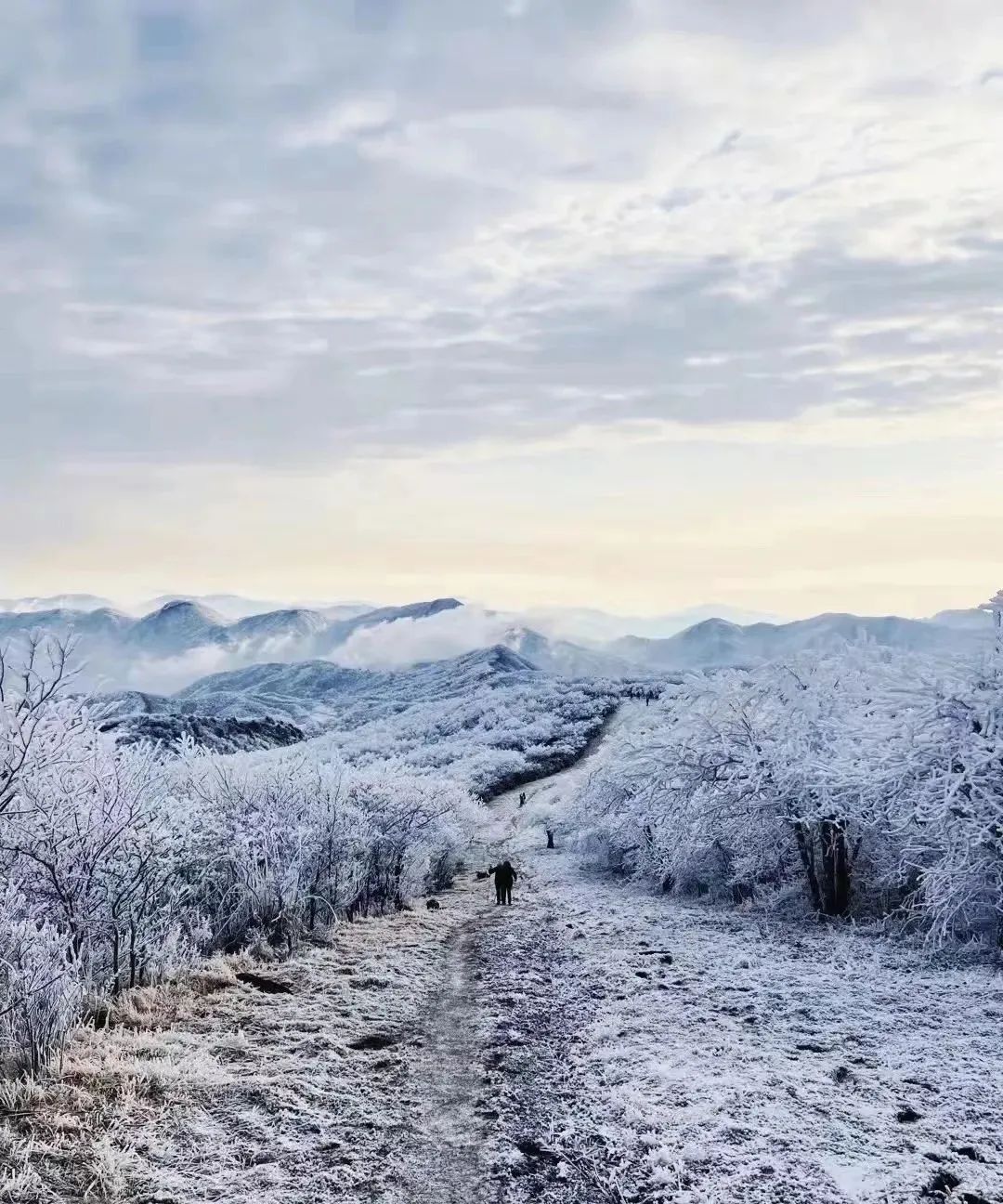 安吉龙王山山顶自驾线路_龙王山 安吉_安吉龙王山地图