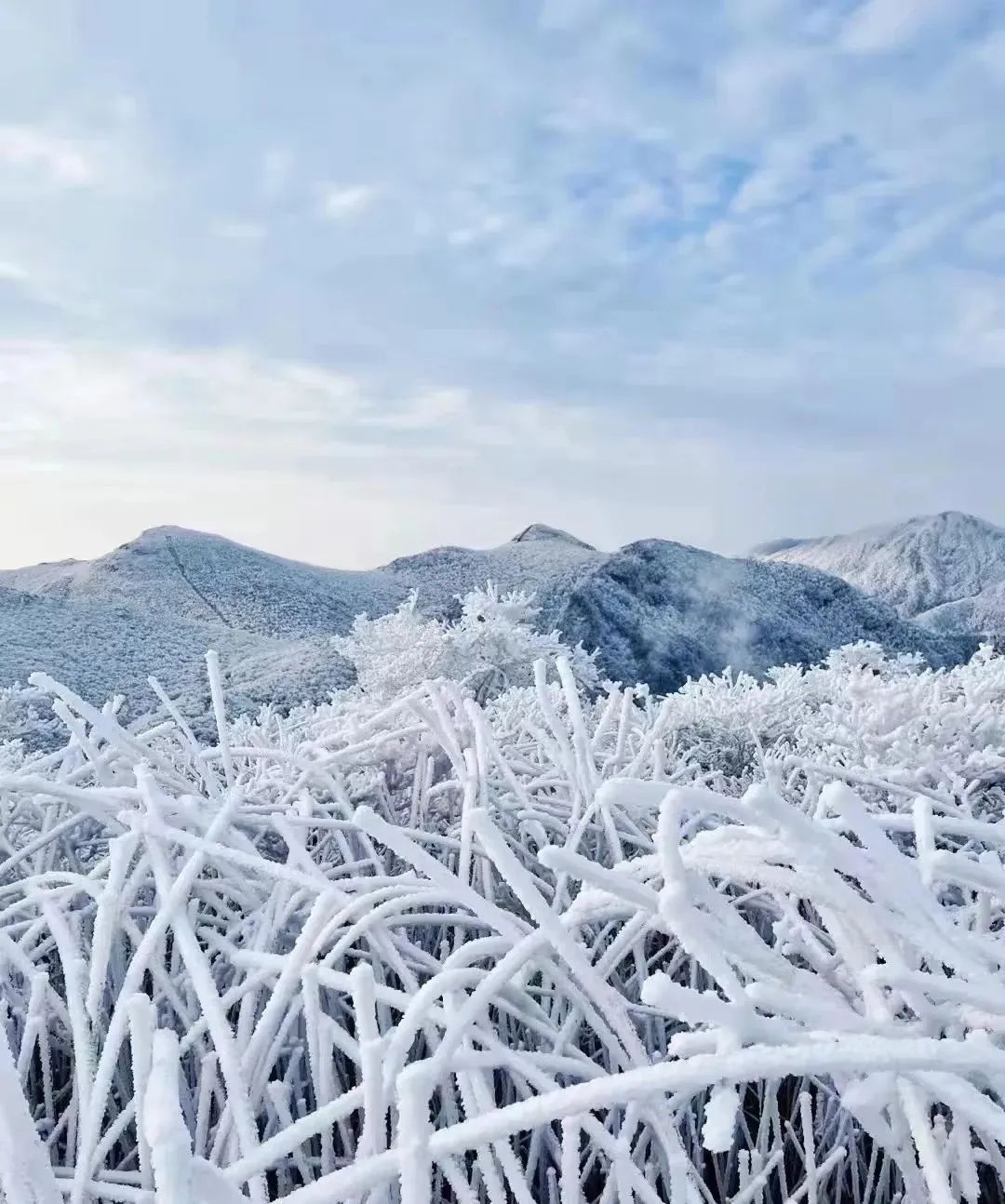 龙王山 安吉_安吉龙王山地图_安吉龙王山山顶自驾线路