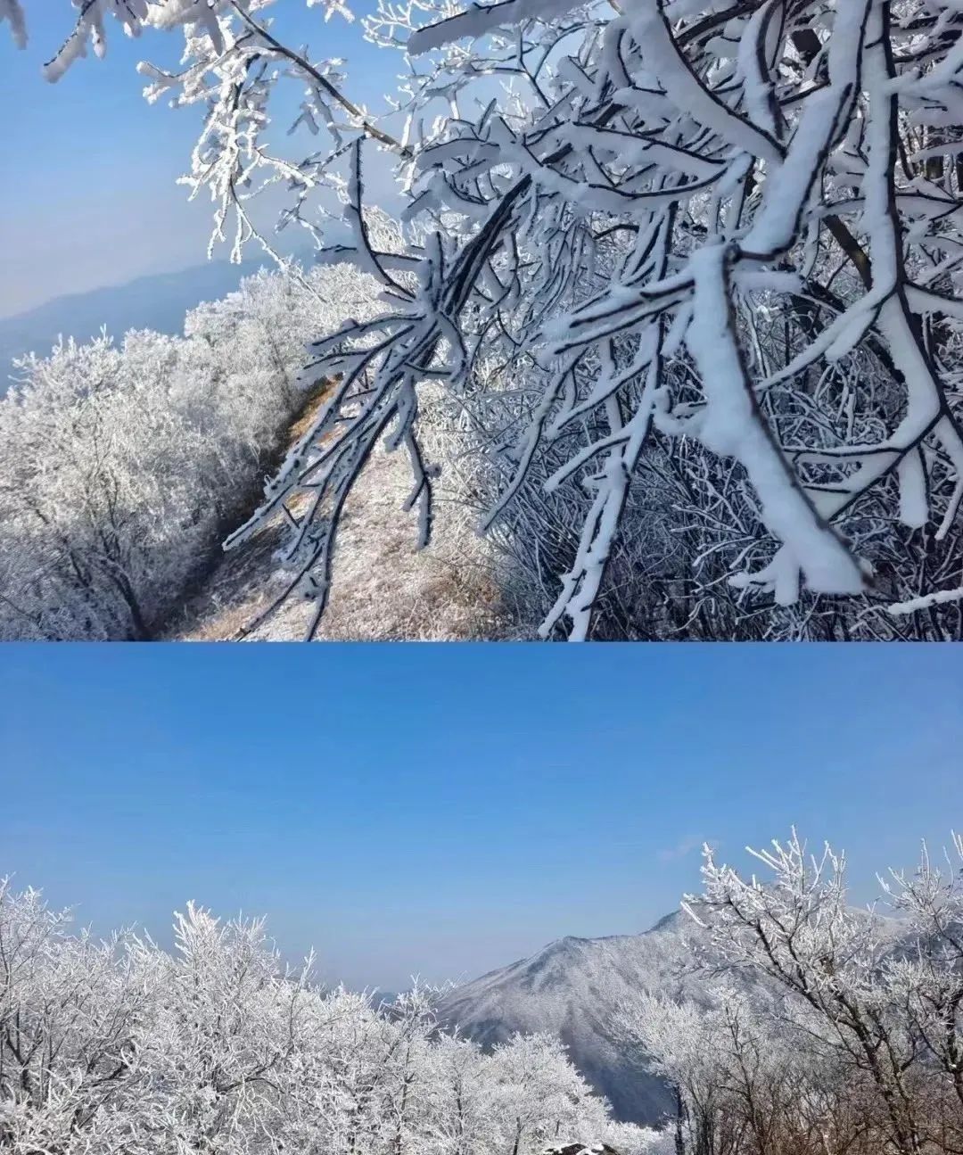 安吉龙王山山顶自驾线路_安吉龙王山地图_龙王山 安吉