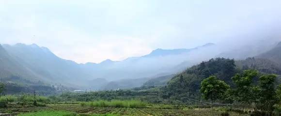 安吉龙王山地图_安吉龙王山山顶自驾线路_龙王山 安吉