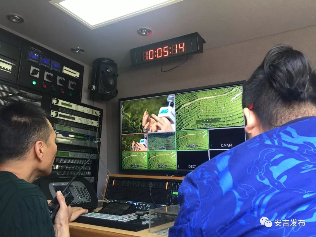 安吉 白茶_安吉白茶属于哪类茶_安吉白茶的功效和作用