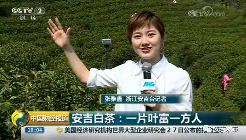 安吉白茶属于哪类茶_安吉白茶的功效和作用_安吉 白茶