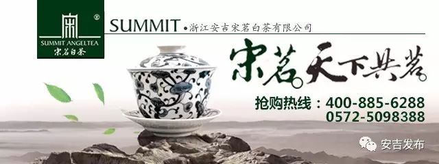 安吉 白茶_安吉白茶黄金芽_安吉白茶怎样储存
