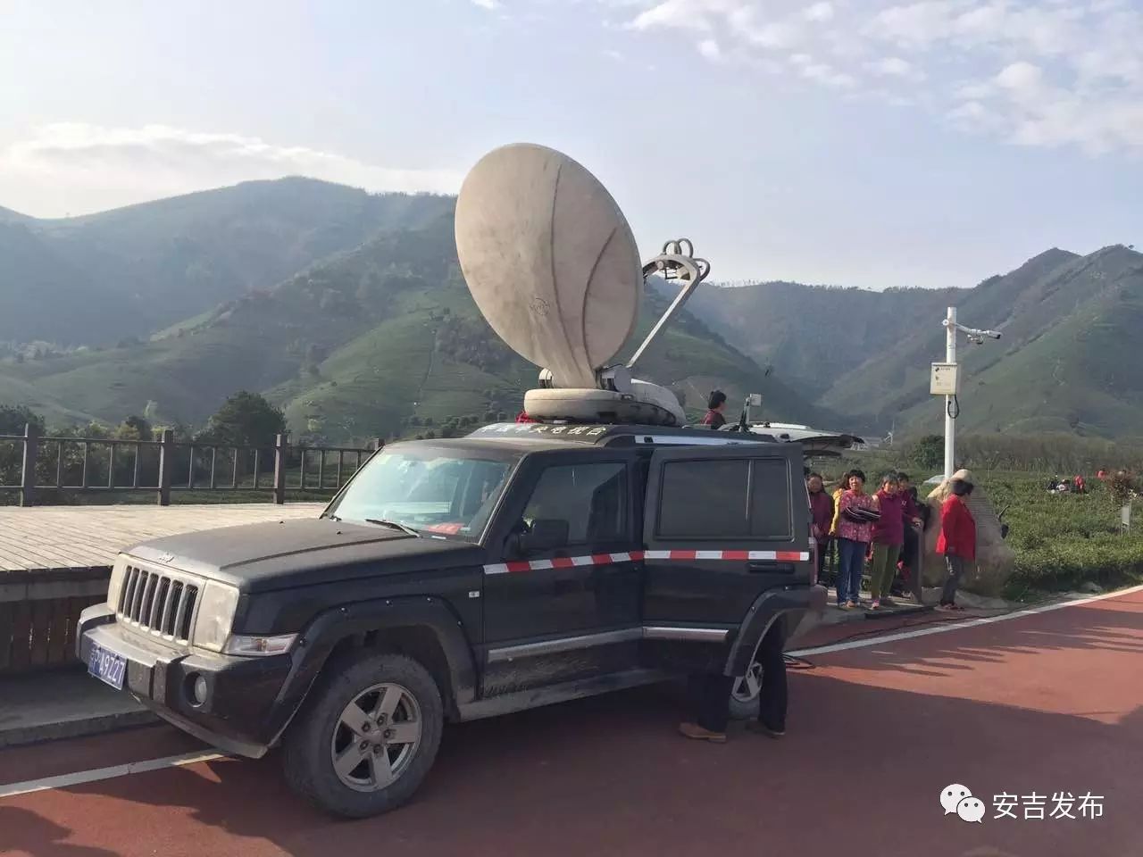 安吉 白茶_安吉白茶怎样储存_安吉白茶黄金芽