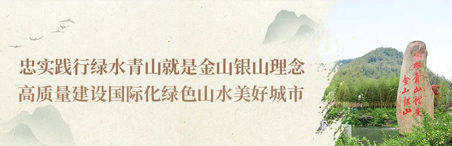 安吉白茶的功效和作用_安吉白茶黄金芽_安吉 白茶