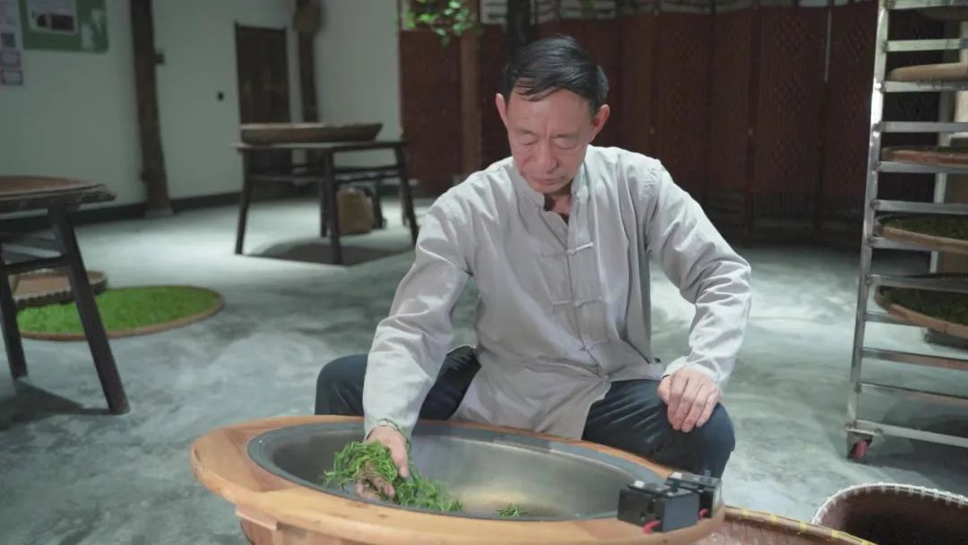 安吉白茶的功效和作用_安吉 白茶_安吉白茶黄金芽