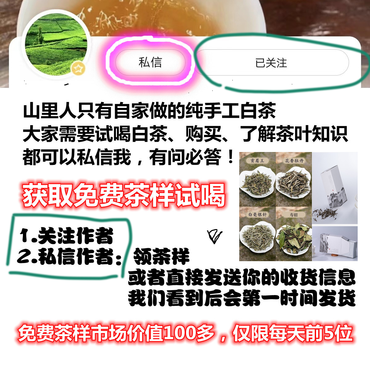 安吉白茶功效_安吉白茶的营养价值_安吉白茶的药用价值