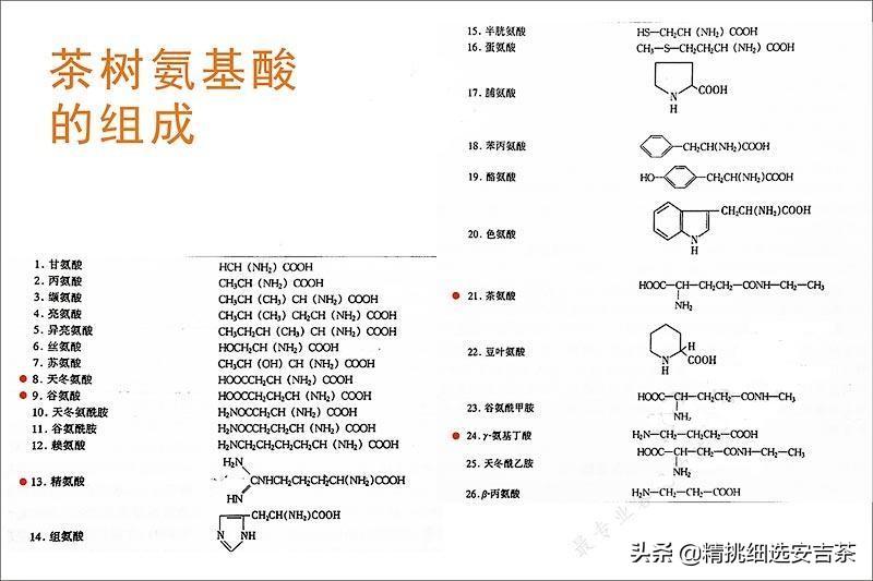 安吉白茶的药用价值_安吉白茶功效_安吉白茶功效与禁忌