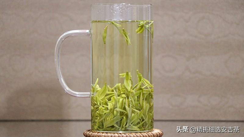安吉白茶的药用价值_安吉白茶功效与禁忌_安吉白茶功效