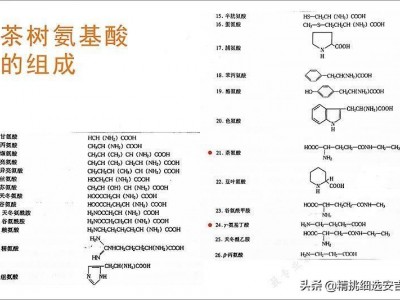 安吉白茶是什么口感？什么样的口感优势呢？