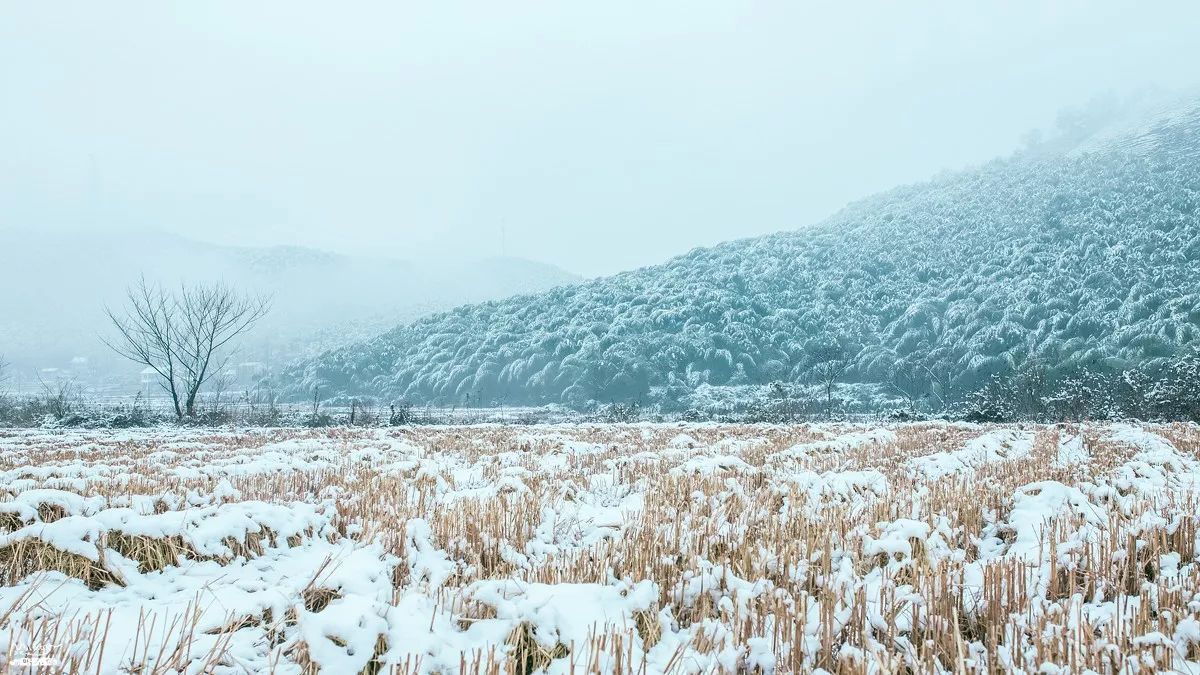 安吉的江南天池滑雪场_安吉江南天池滑雪场_安吉江南滑雪场雪道图