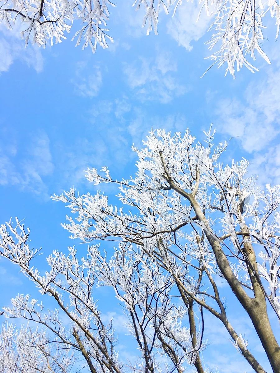 安吉江南天池滑雪场_安吉江南滑雪场雪道图_安吉的江南天池滑雪场