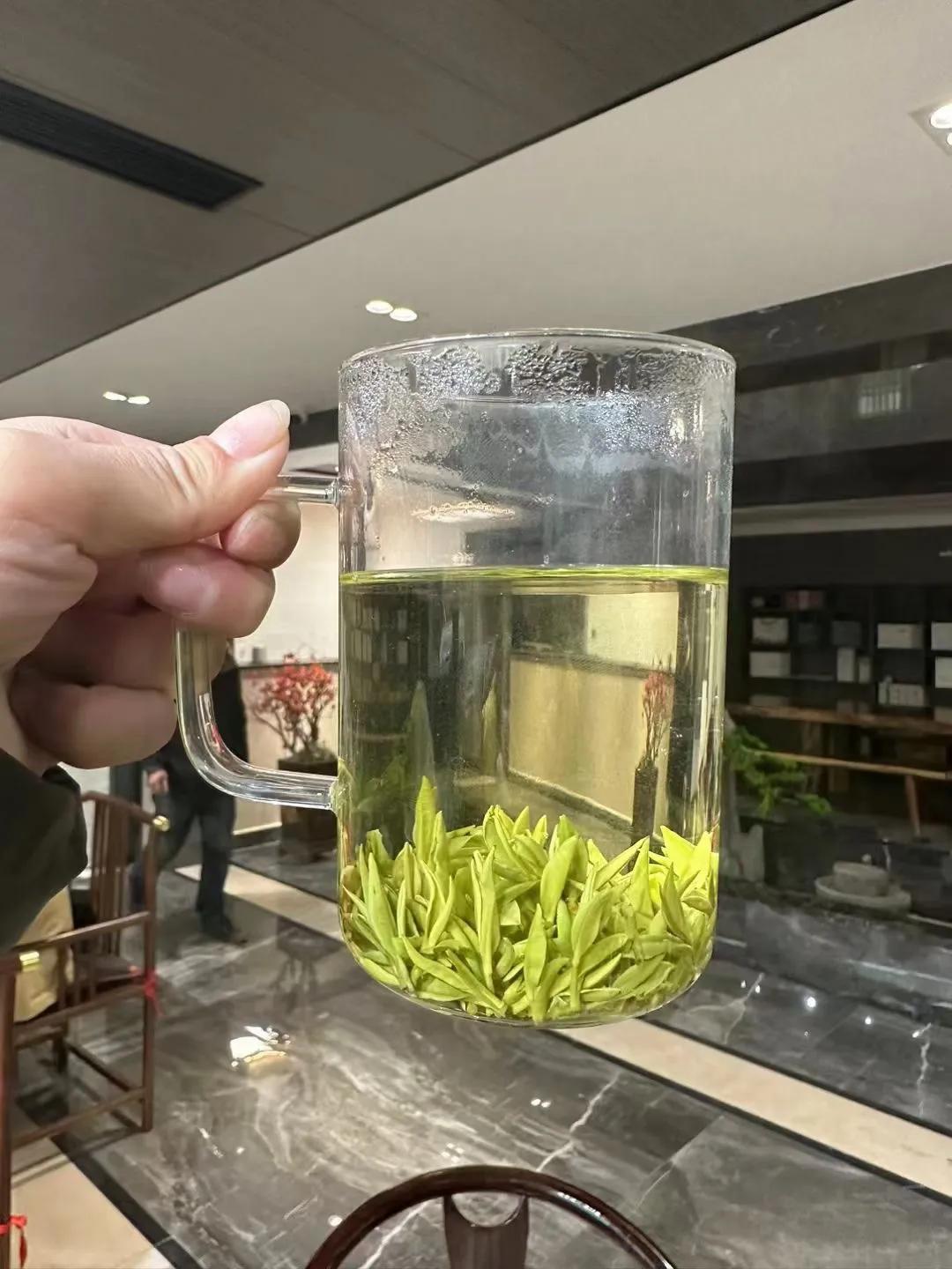 安吉白茶的营养价值_安吉白茶功效_白茶安吉的功效