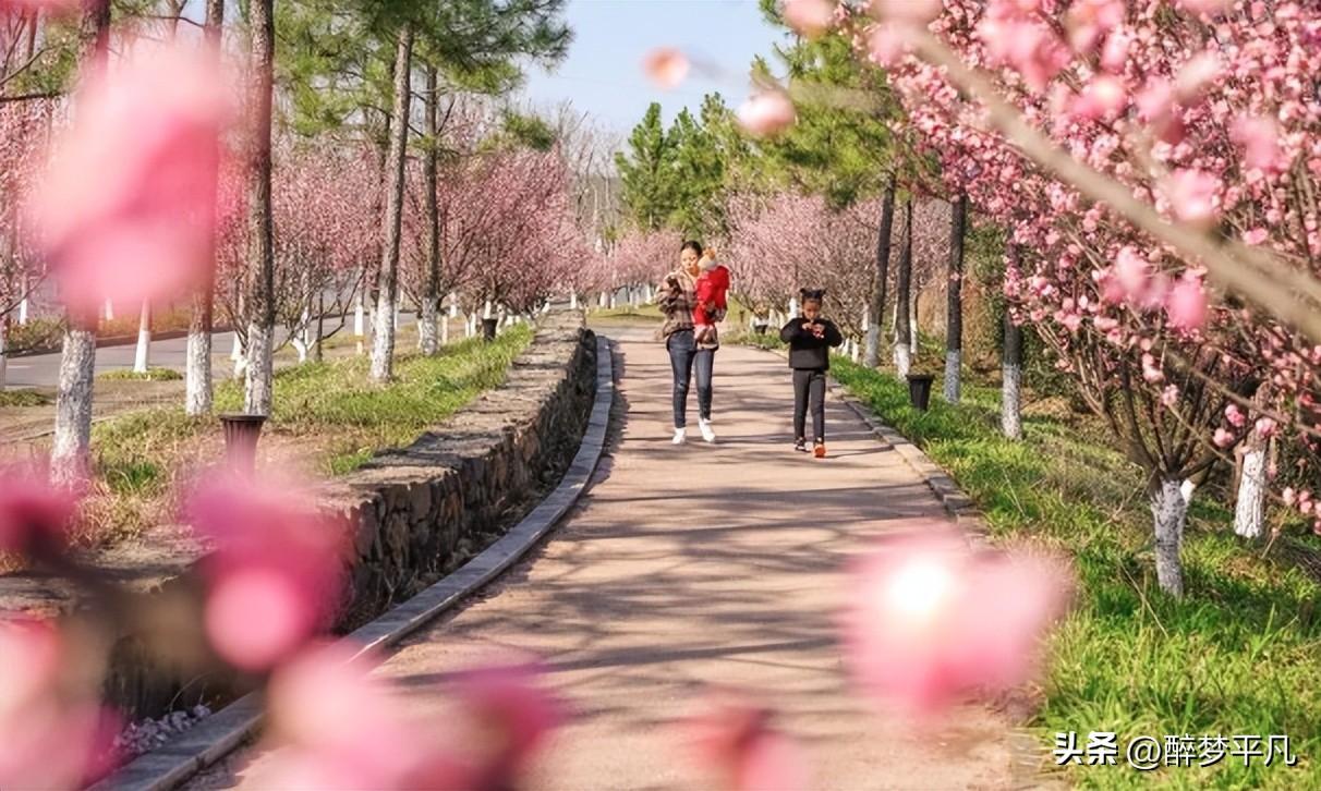 安吉百草园游乐园项目_游安吉百草园_安吉百草园游玩路线