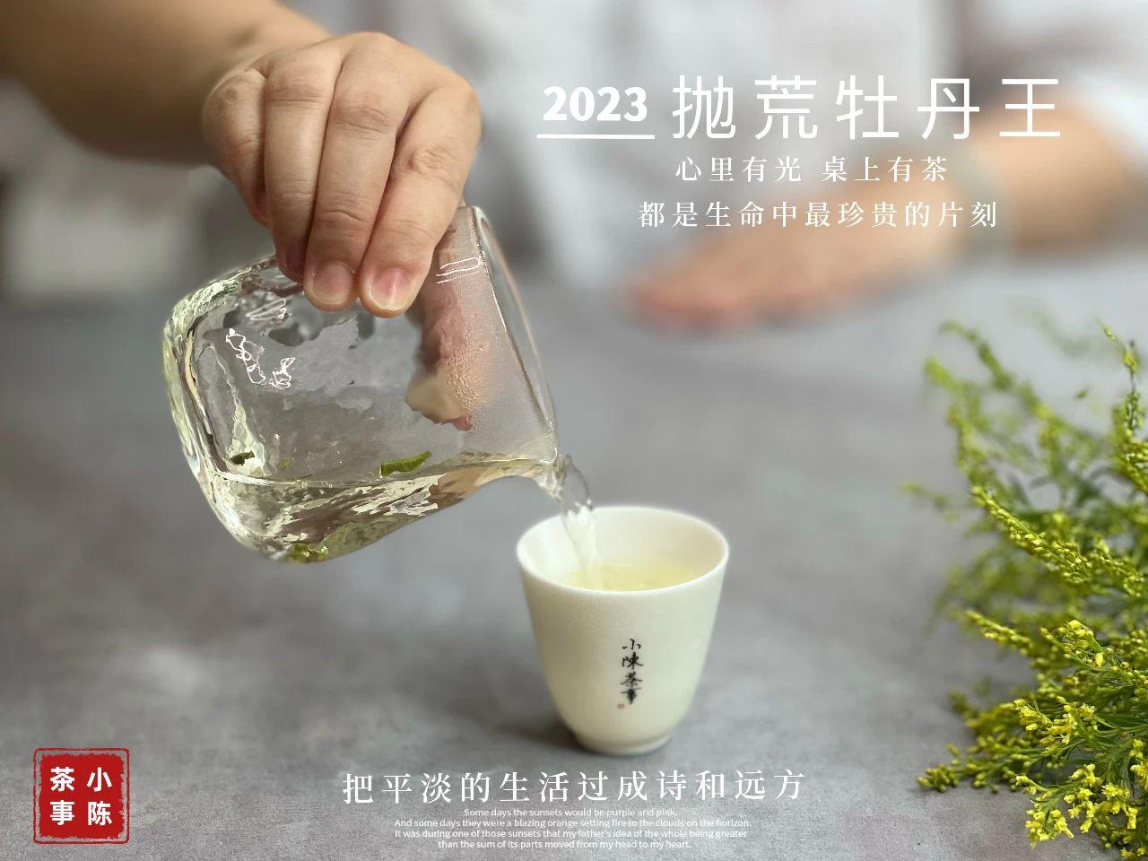 西湖龙井安吉白茶_安吉白茶和西湖龙井_安吉白茶龙井茶