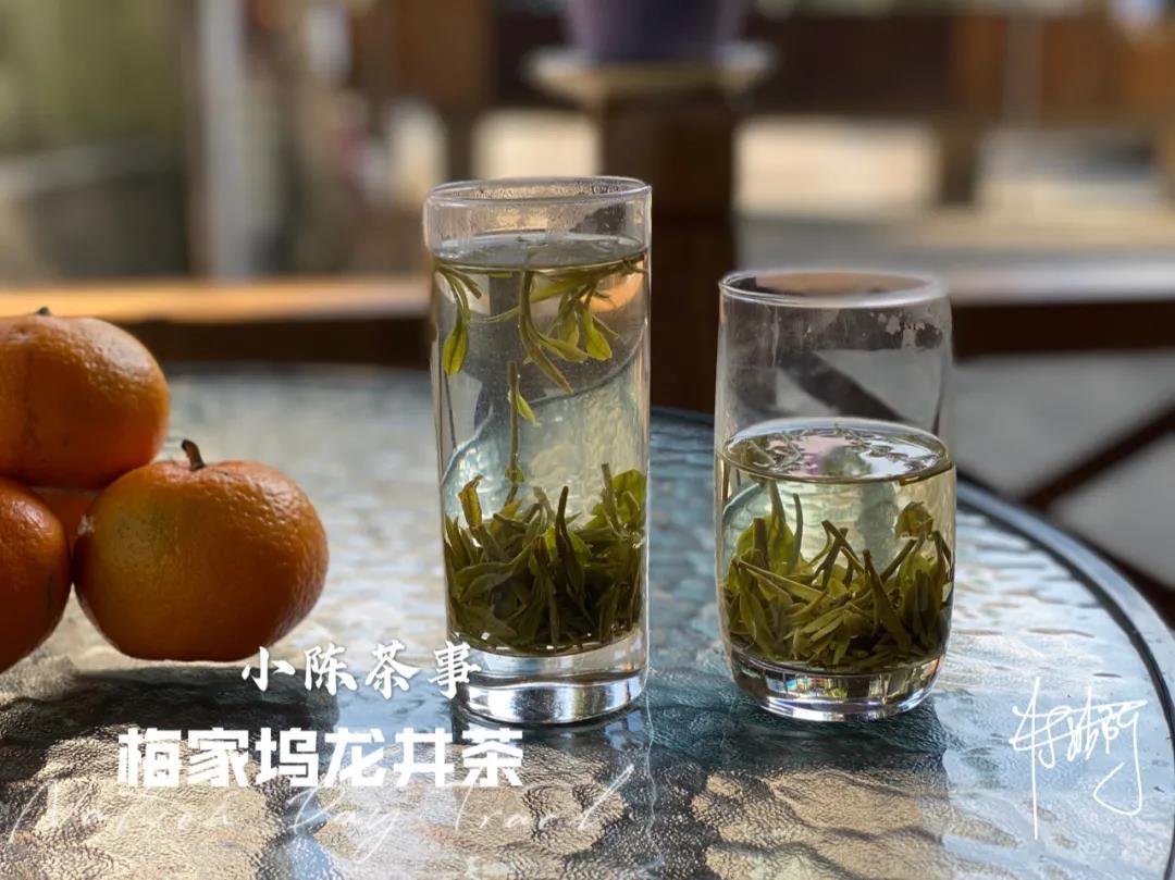 安吉白茶和西湖龙井_西湖龙井安吉白茶_安吉白茶龙井茶