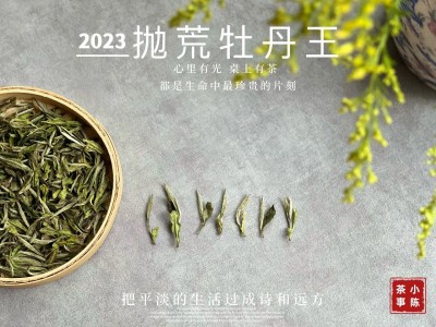 白茶和绿茶，是同一种茶、同个味道吗？