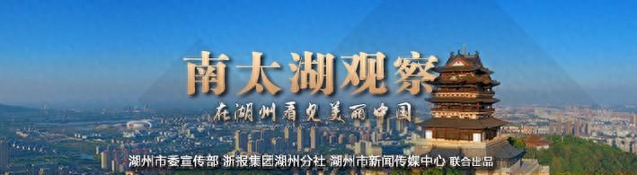 安吉惊雷笋价格_安吉惊雷笋_安吉惊雷笋有限公司