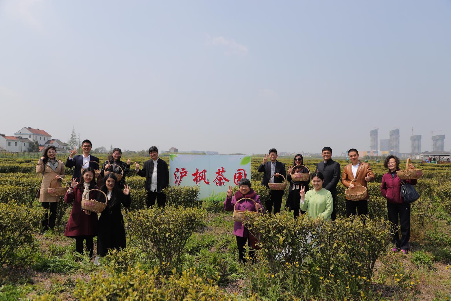 安吉白茶和西湖龙井_安吉白茶龙井和西湖龙井的区别_西湖龙井和安吉白茶哪个好喝